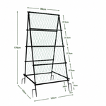 OEM Metal Garden Arch Trellis with Nylon Netting for Climbing Vegetables and Garden Plants