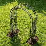 OEM Tall Metal Garden Arch Trellis for Climbing Plants and Events Black 215cm