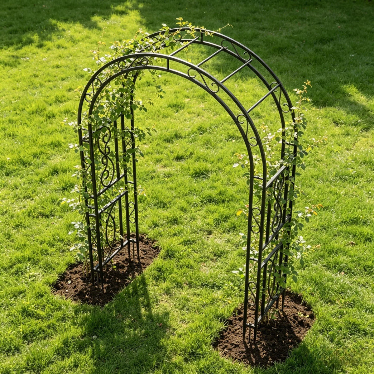 OEM Tall Metal Garden Arch Trellis for Climbing Plants and Events Black 215cm