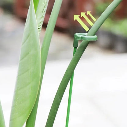 10pcs Plant Support 27cm Stakes Fiberglass Garden Supports for Flowers and Vegetables