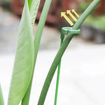 10pcs Plant Support 17cm Stakes Fiberglass Garden Supports for Flowers and Vegetables