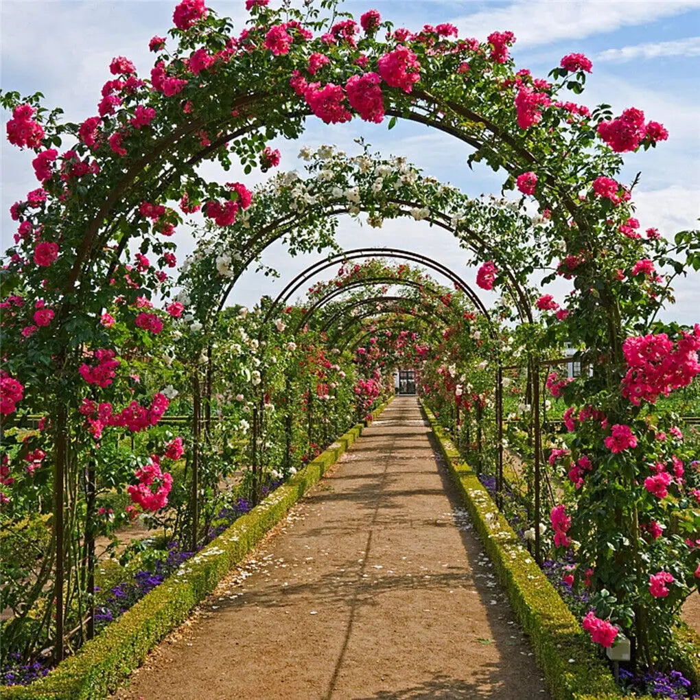 OEM Metal Garden Archway Trellis for Climbing Plants Outdoor Patio 240cm