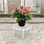 OEM Heavy Duty Round Metal Plant Stand for Indoor Outdoor Planters Pots and Garden Display White