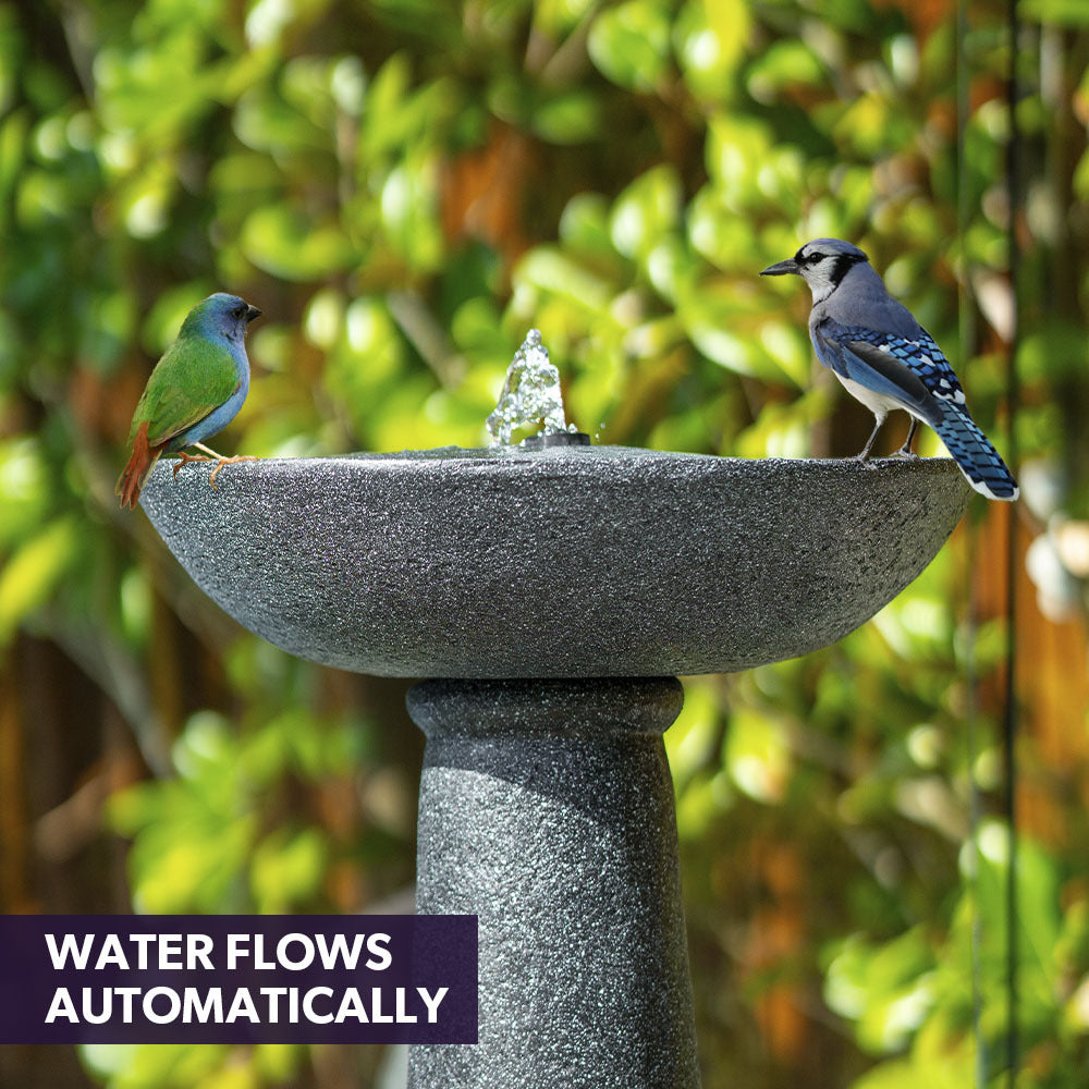 Outdoor Solar Bird Bath Fountain with LED Lighting and Solar Panel Kit Dark Grey
